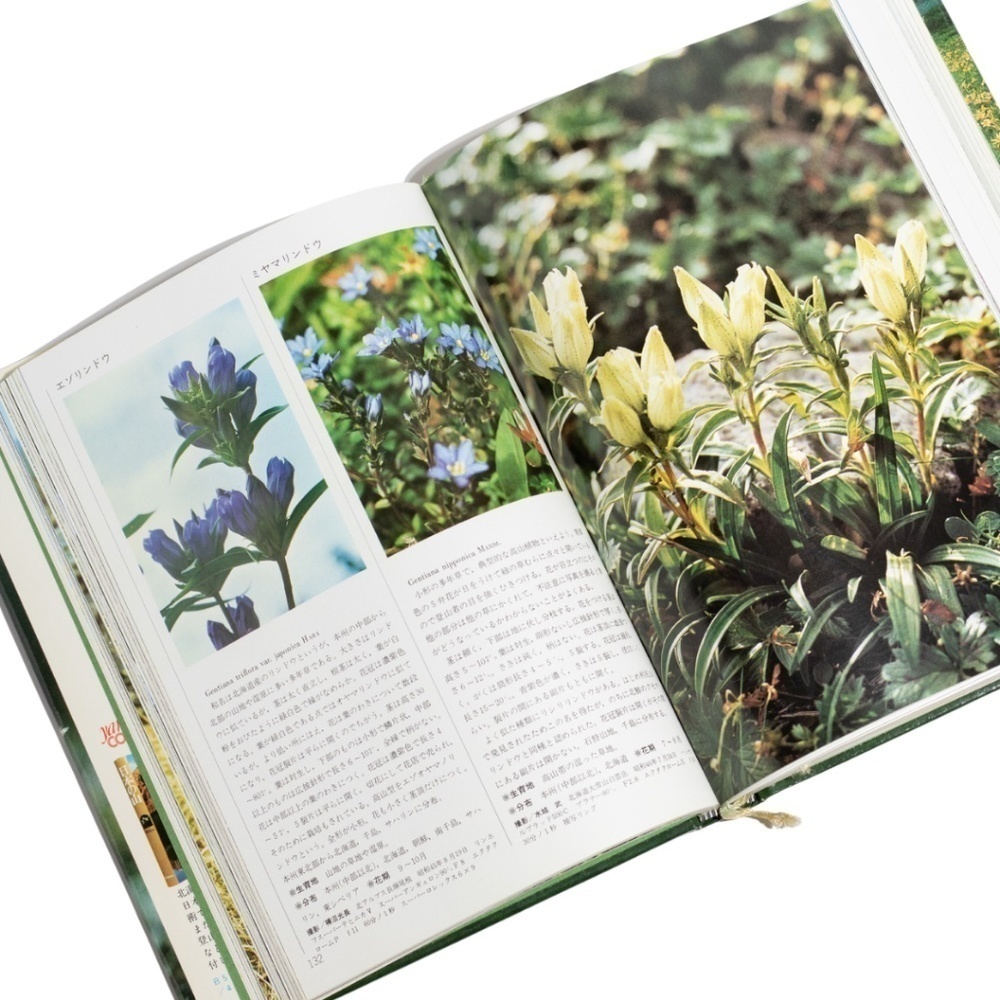 Wildflowers of Japan (Japanese Edition) with Slipcover by Yamakei Color Deluxe c - Picture 8 of 10
